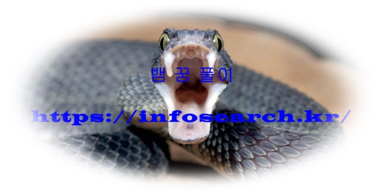 무료 꿈해몽 뱀 꿈 풀이