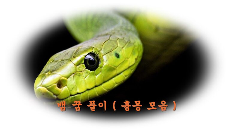 뱀 꿈 풀이 흉몽