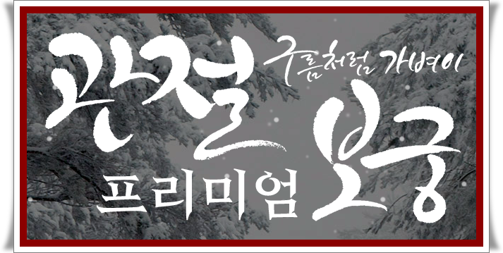 관절보궁 가격 │ 관절보궁 효능 │ 관절보궁 성분