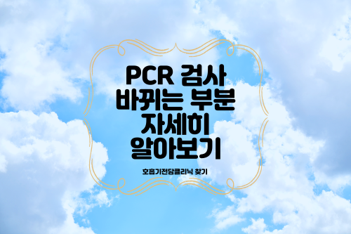PCR 검사 선별진료소 신속항원검사 PCR 검사 유효기간